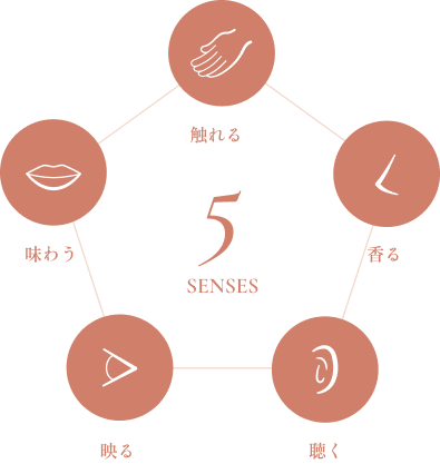 5 SENSES